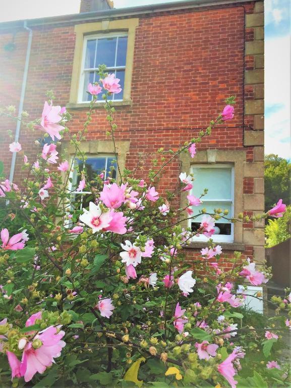 The Victorian House Bed and Breakfast Bridport Exteriör bild